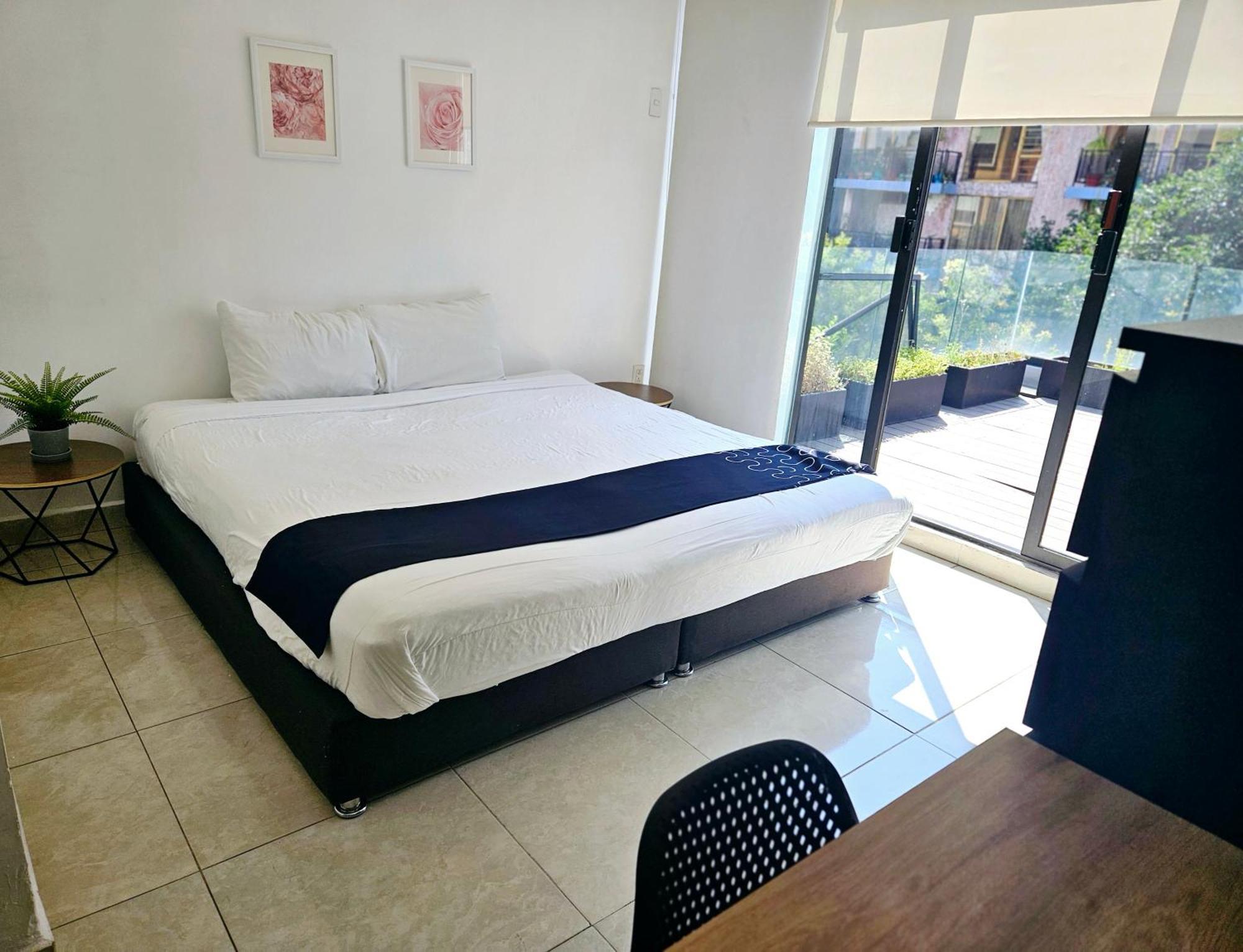 Singular Socrates Hotel Mexico