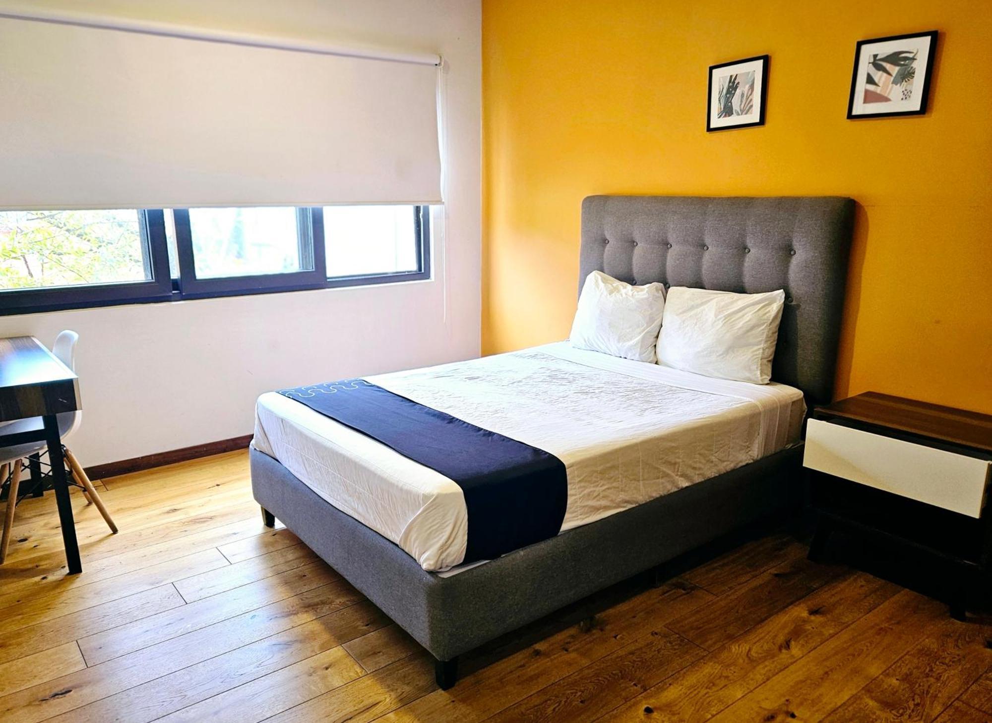 Singular Socrates Hotel